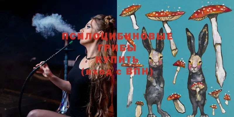 Псилоцибиновые грибы MAGIC MUSHROOMS  ОМГ ОМГ как войти  Верхний Уфалей 